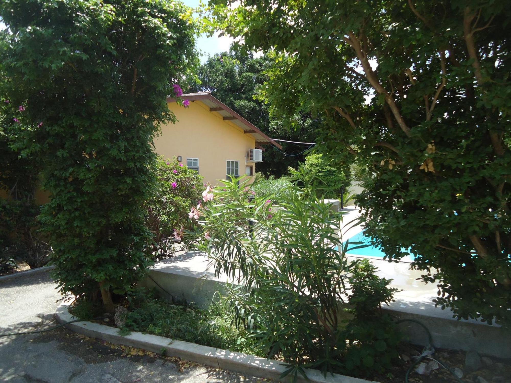 Happy Turtle Apartments Willemstad Exterior foto