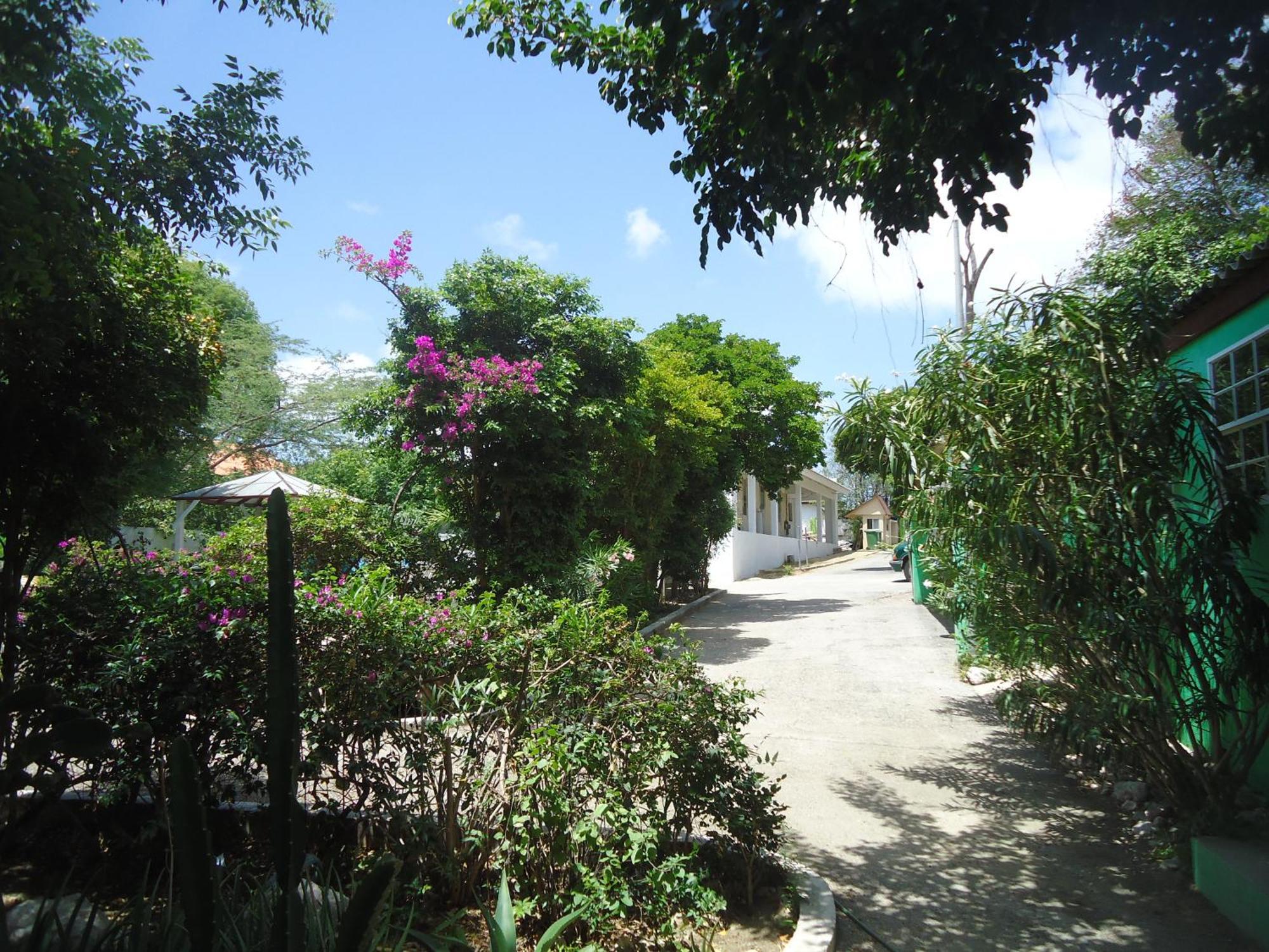 Happy Turtle Apartments Willemstad Exterior foto