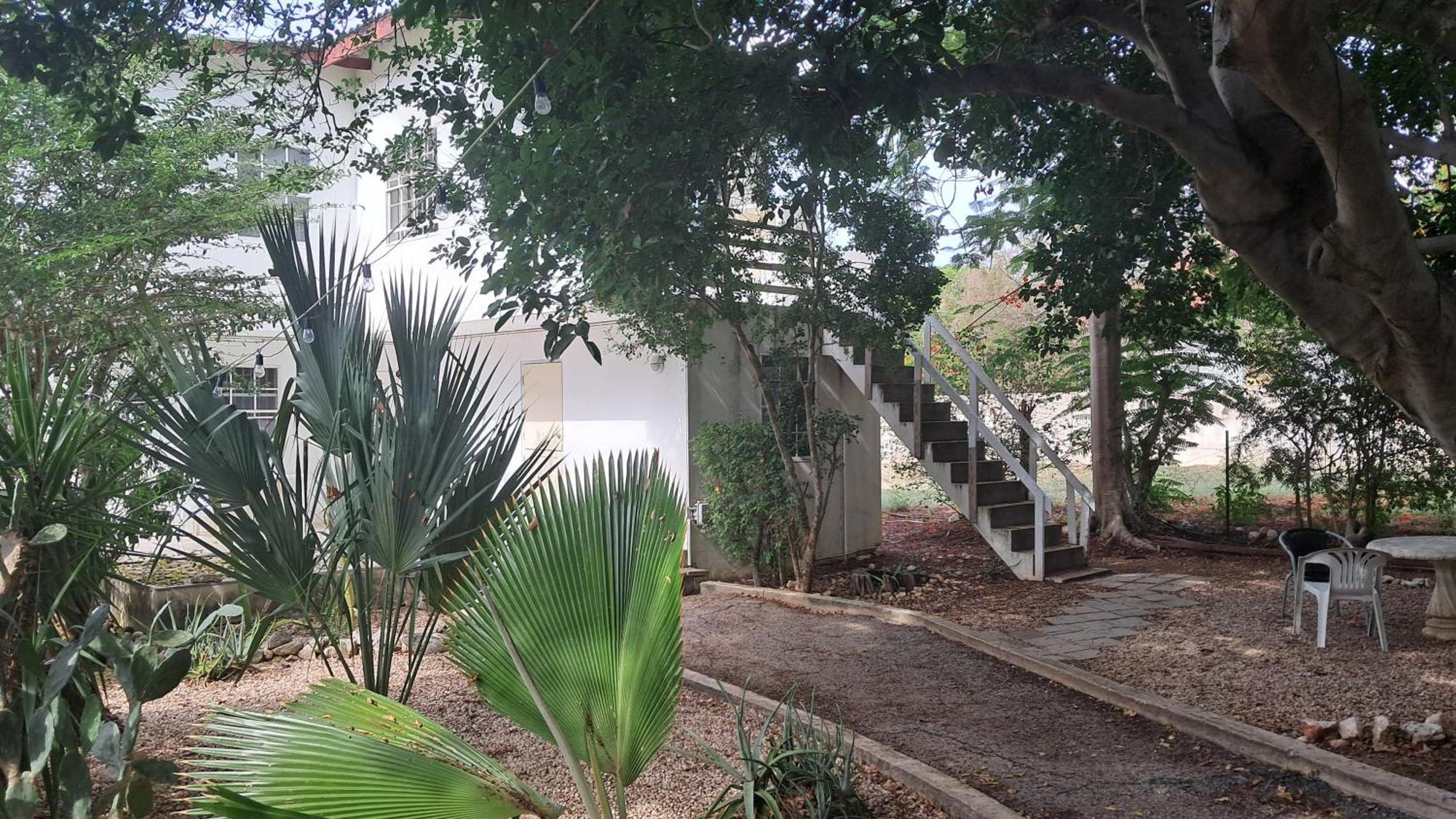 Happy Turtle Apartments Willemstad Exterior foto